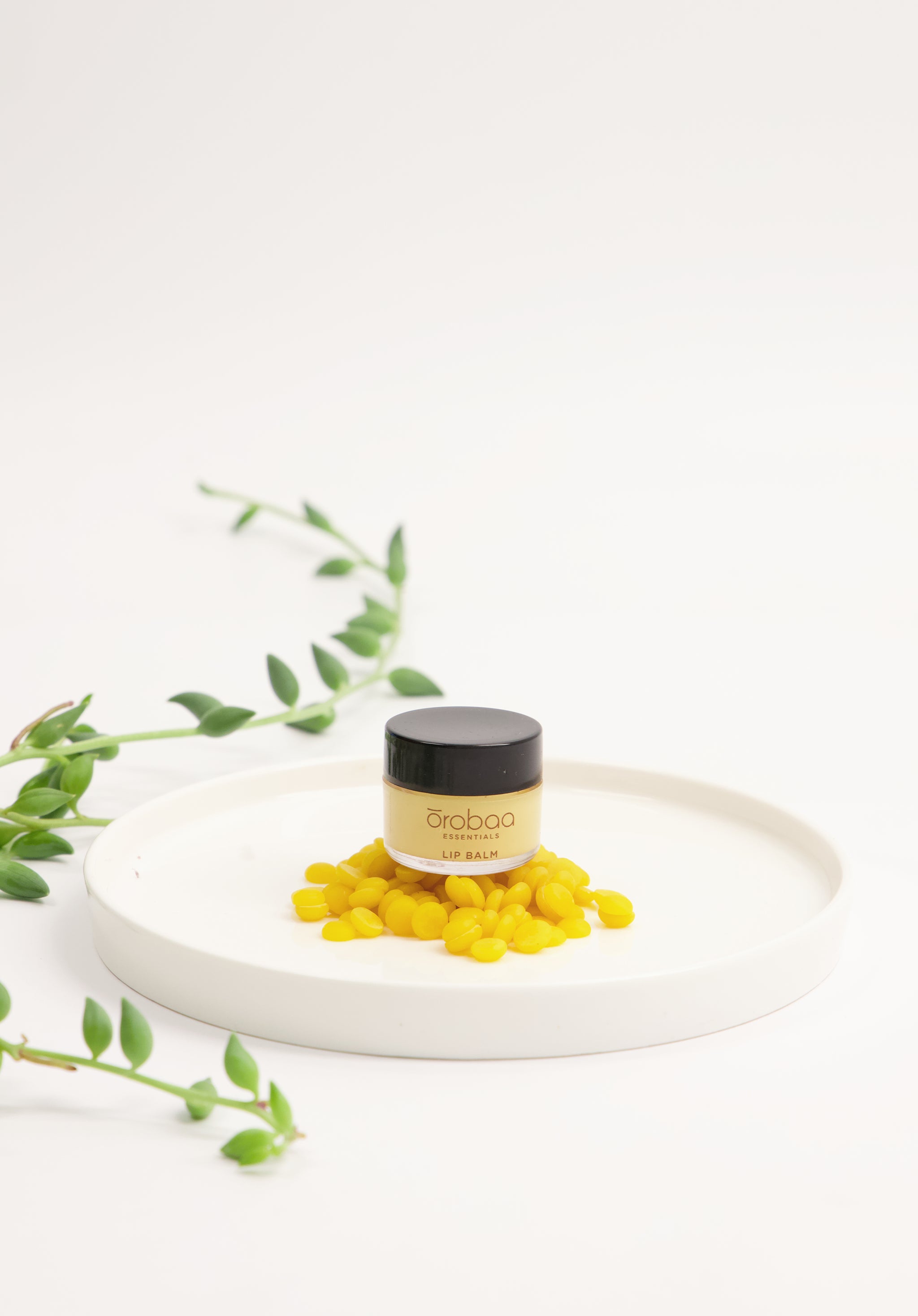 Lip Balm
