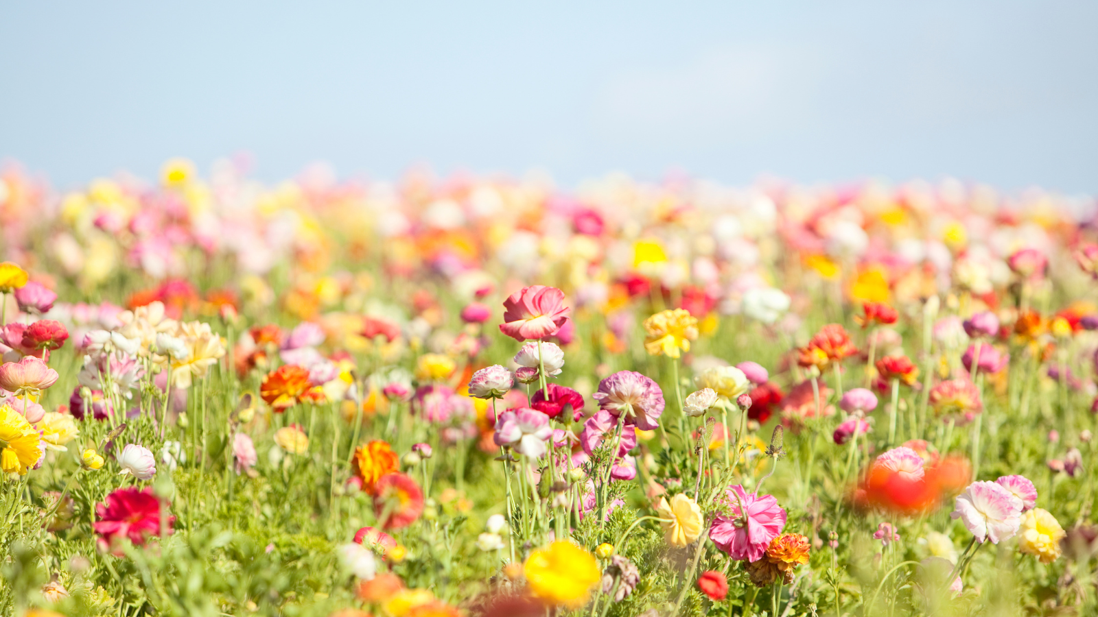Get ready for your favourite skin season